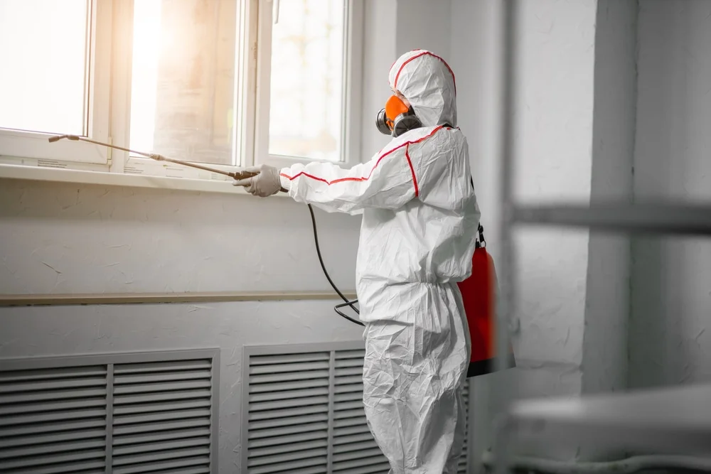 Professional mold remediation services in Westbrook, CT